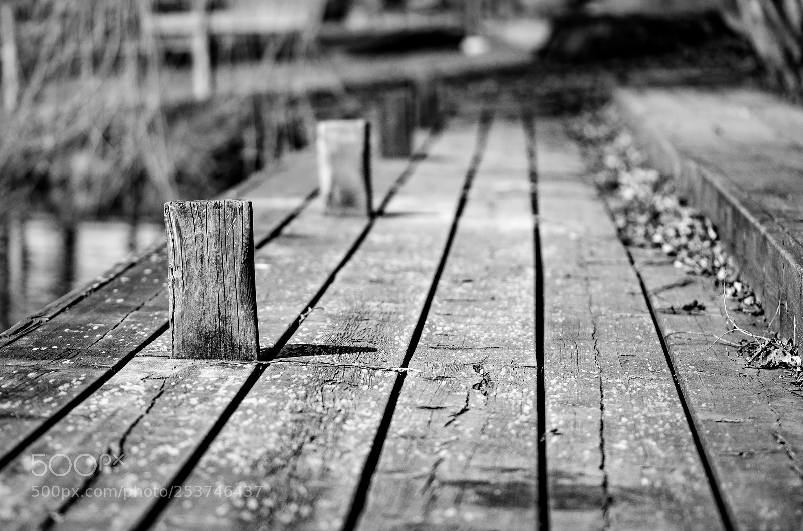 Nikon D7000 sample photo. Boardwalk photography