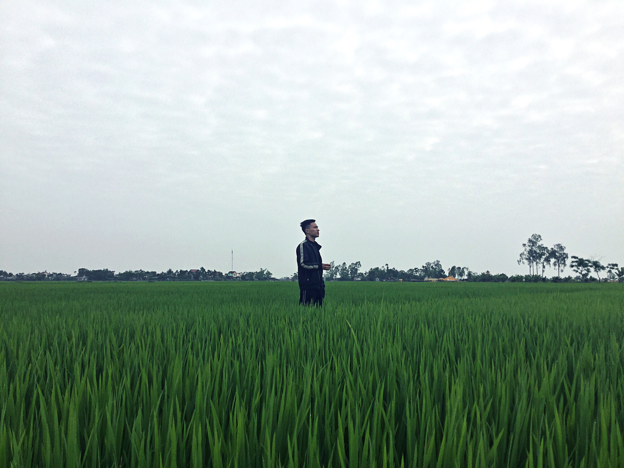 Apple iPad Air 2 sample photo