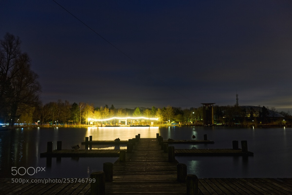 Sony a7 II sample photo. 40 /365  photography