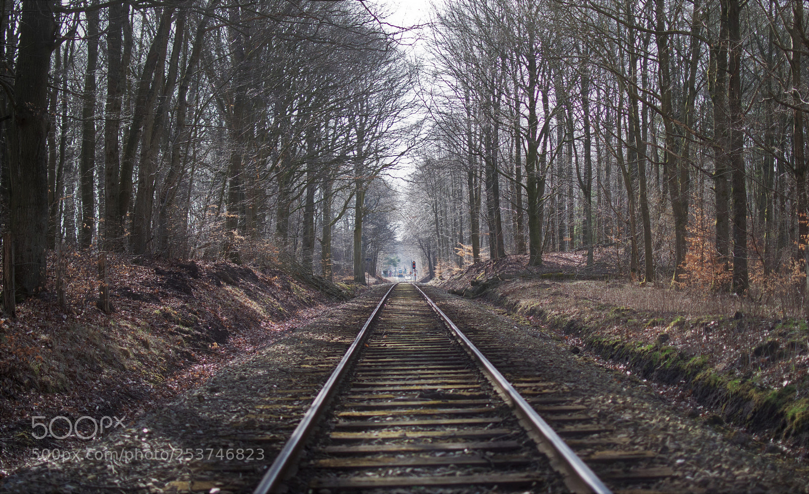 Nikon D3300 sample photo. Railway in the forest... photography
