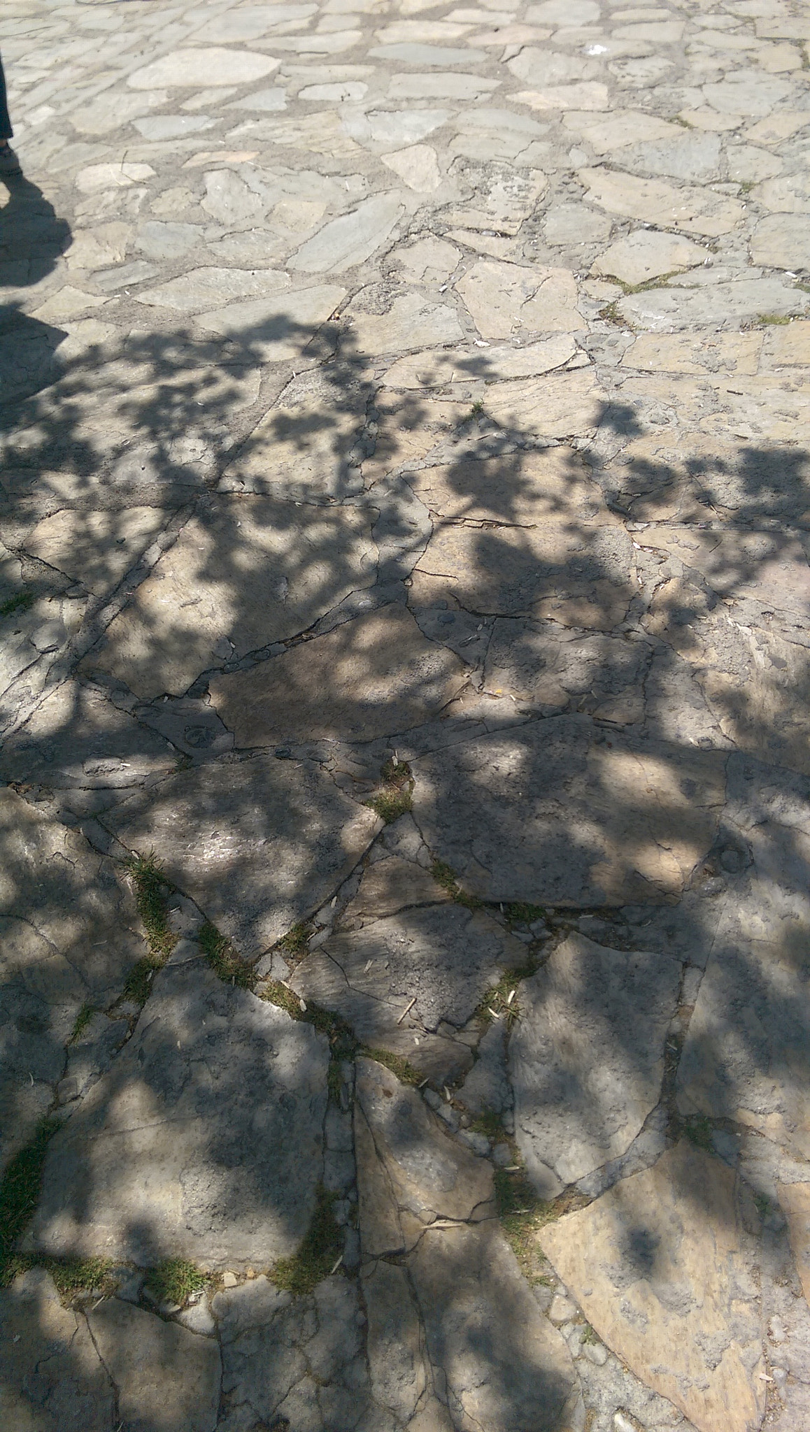 HTC ONE M8 sample photo