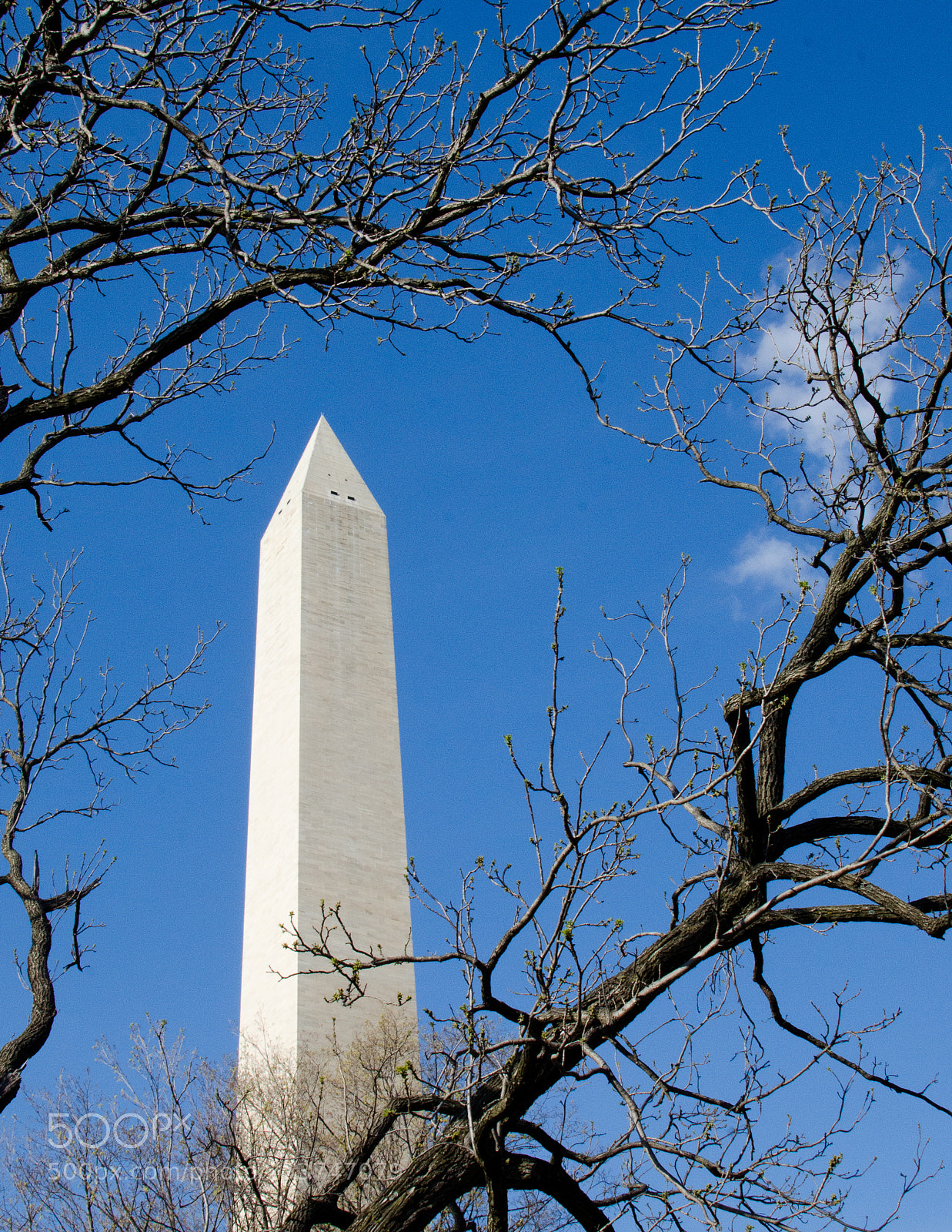 Nikon D7000 sample photo. Washington monument photography