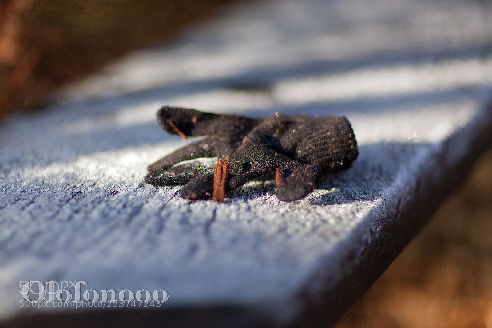 Canon EOS 5D Mark II sample photo. Lost glove photography