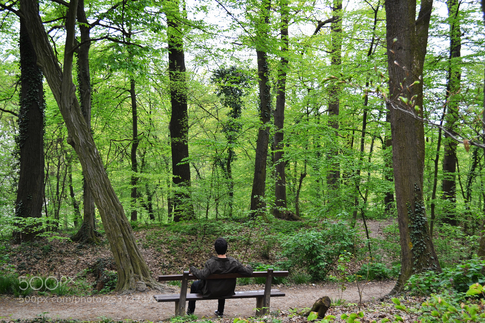 Nikon D3100 sample photo. Breathe in photography