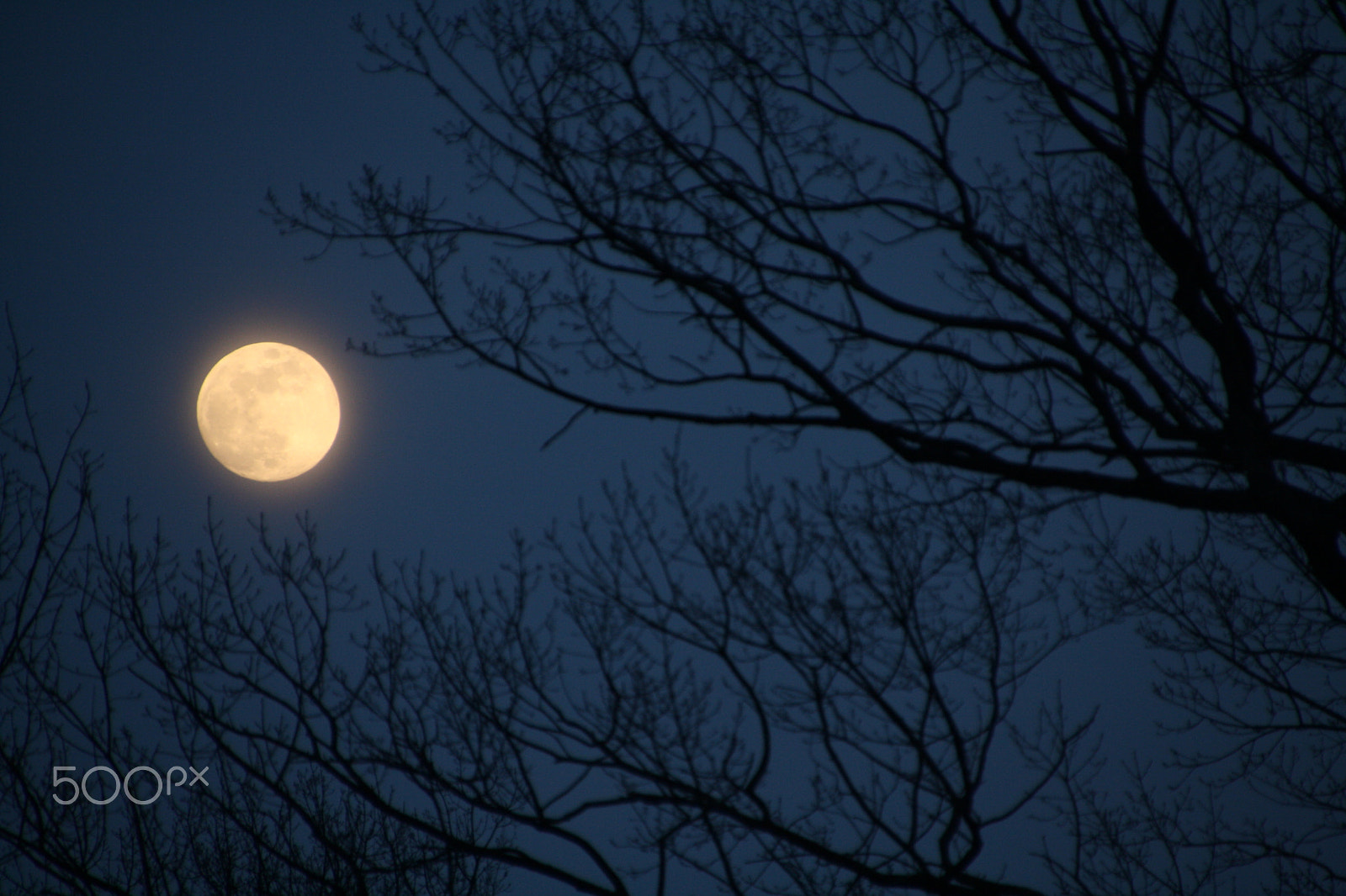 Canon EOS 1000D (EOS Digital Rebel XS / EOS Kiss F) sample photo. Moon photography