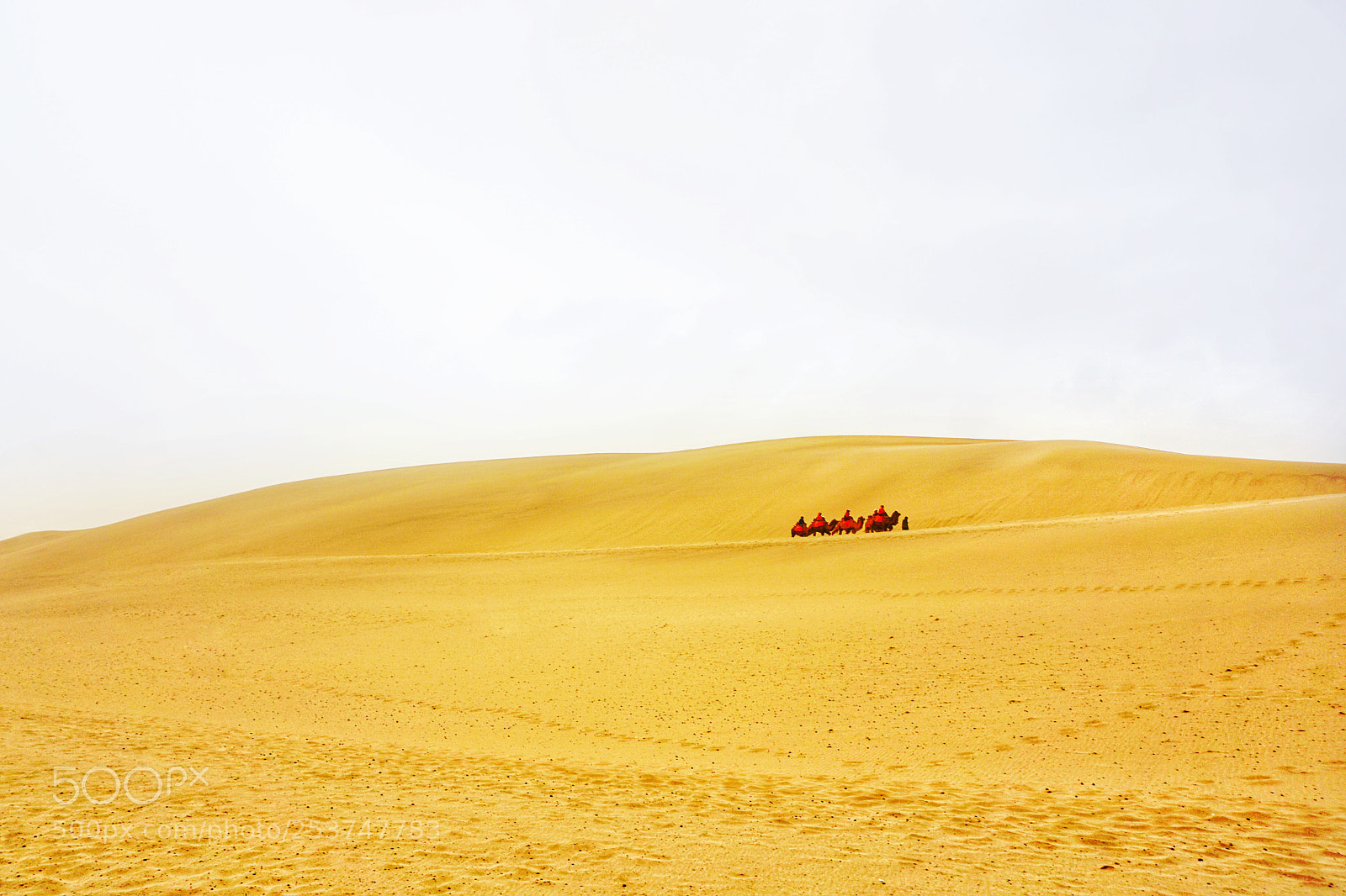 Sony a6000 sample photo. Dots on the desert photography
