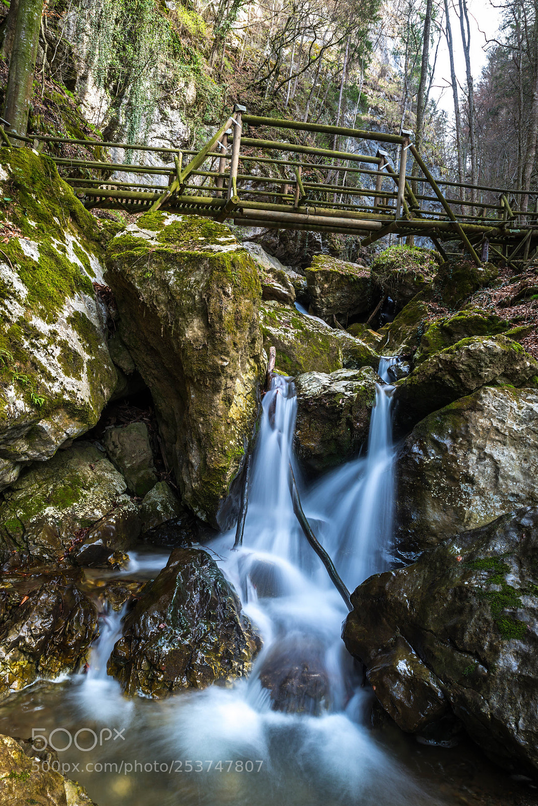 Nikon D800E sample photo. Untitled photography