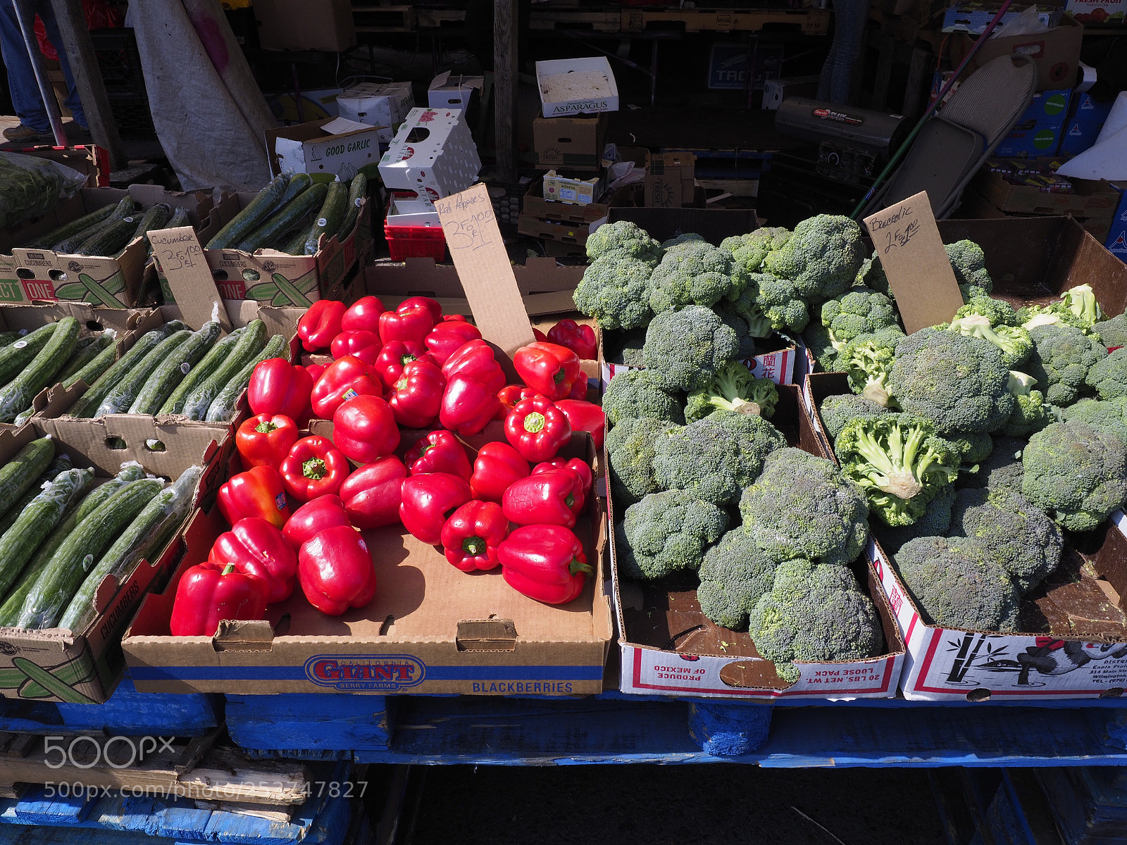 Olympus OM-D E-M1 Mark II sample photo. Vegetables at boston market  photography