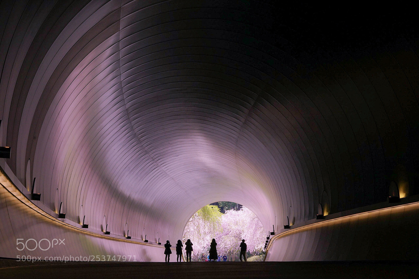 Sony a7 II sample photo. Miho museum shiga pref photography
