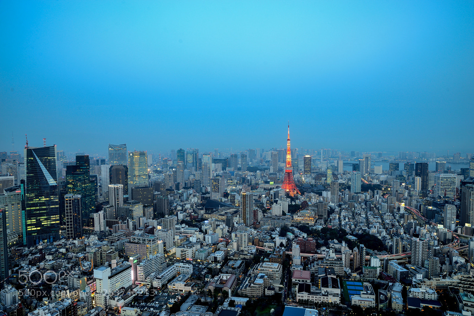 Nikon D610 sample photo. Tokyo tower photography