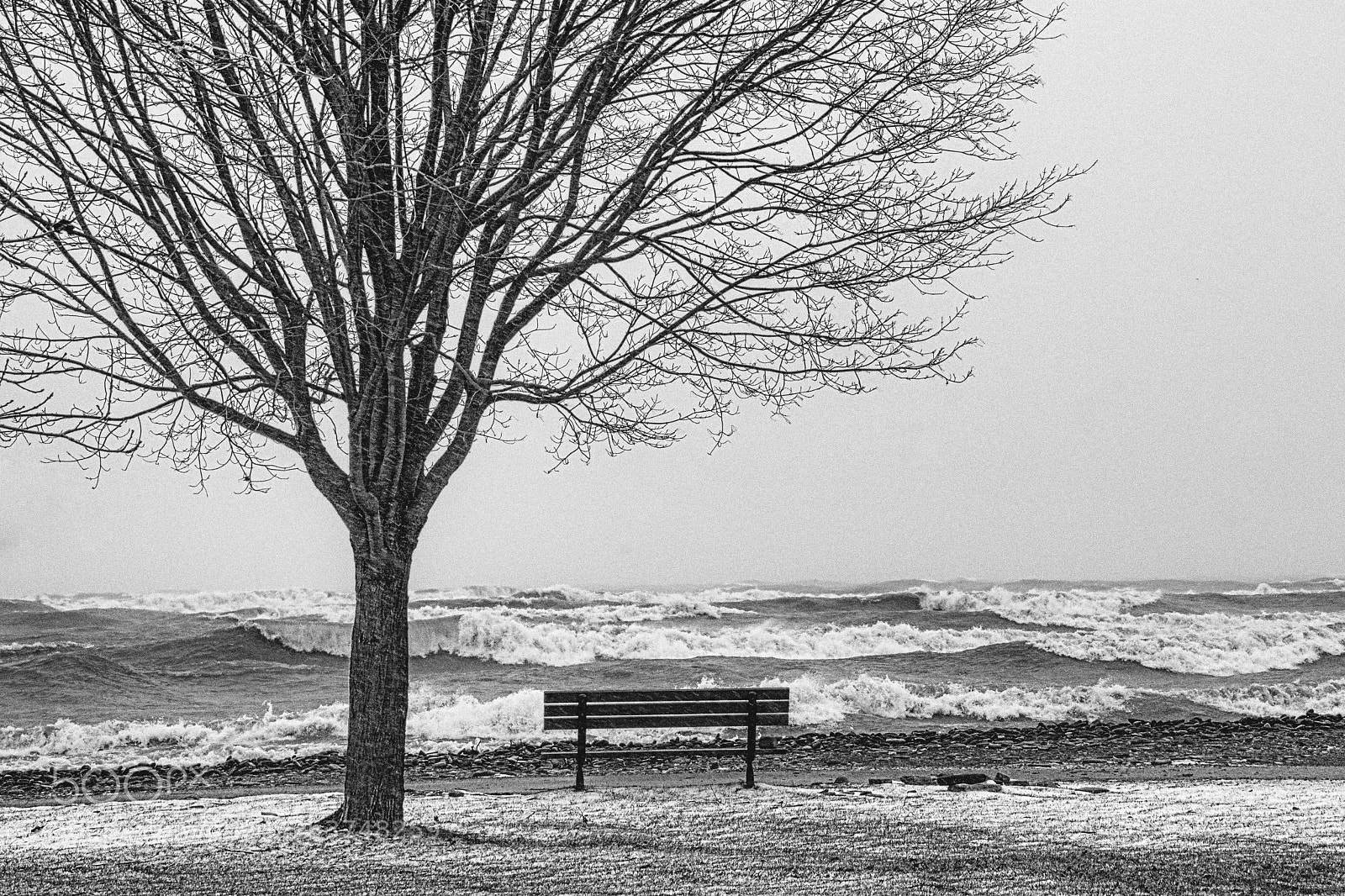 Nikon D7200 sample photo. Blustery day angry lake photography