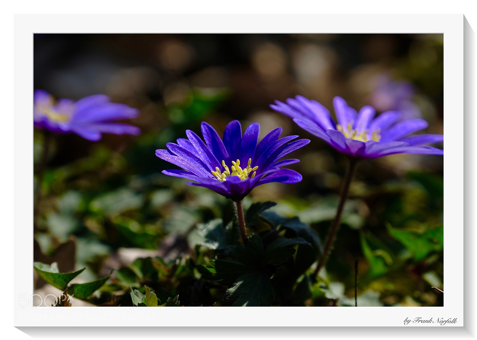 Fujifilm X-T2 sample photo. Untitled photography