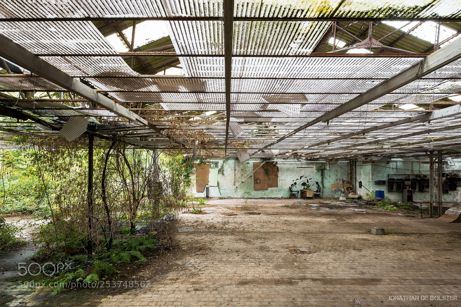 Nikon D7200 sample photo. In skeletons we shall photography