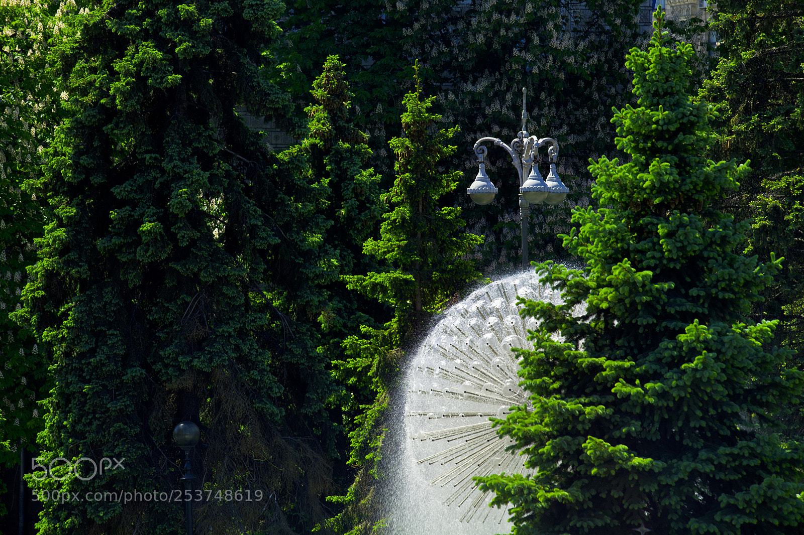 Canon EOS 5D Mark II sample photo. Сolors of nature photography
