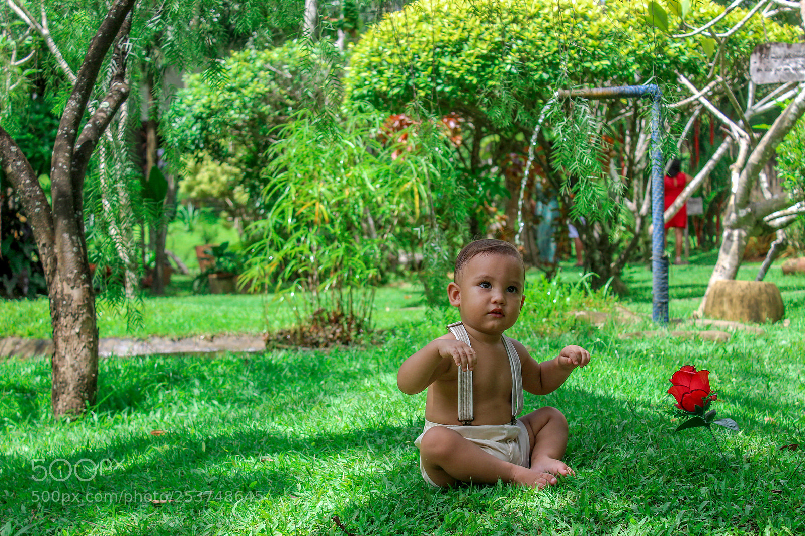 Canon EOS 1300D (EOS Rebel T6 / EOS Kiss X80) sample photo. Tracoá photography
