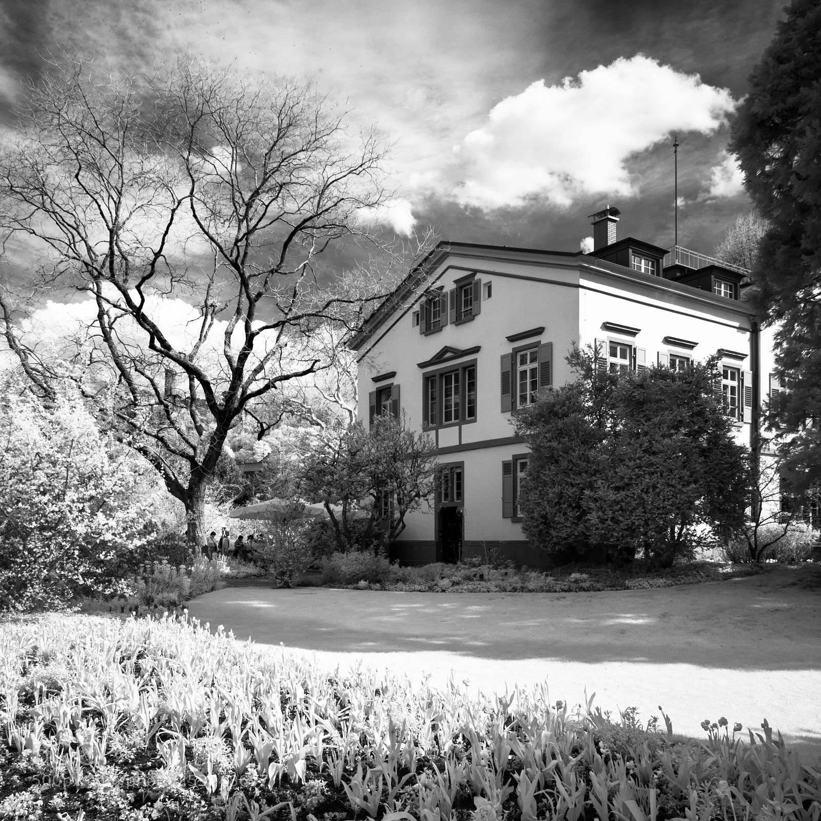 Olympus OM-D E-M1 sample photo. Hermannshof ir photography