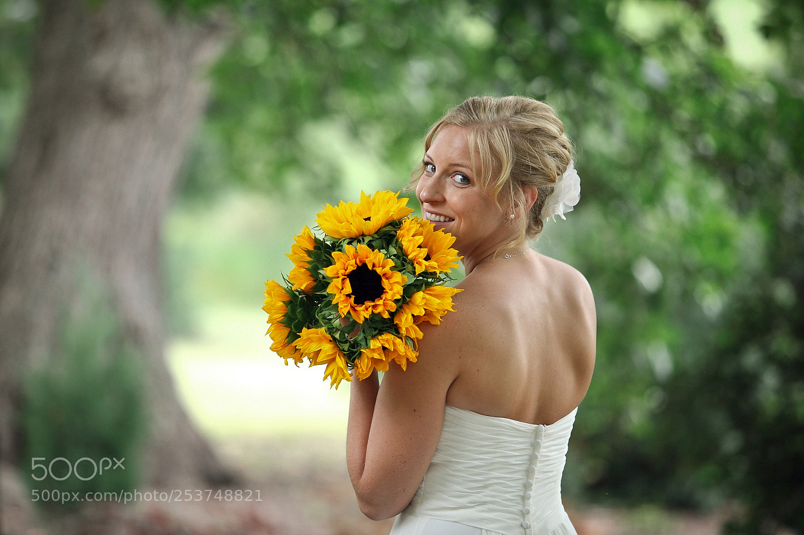 Canon EOS 5D Mark II sample photo. Untitled photography