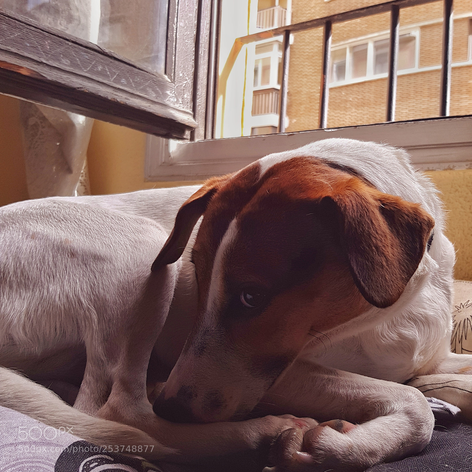 Samsung Galaxy S8 sample photo. Sunday mood photography