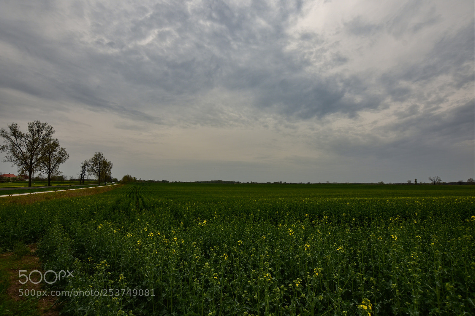 Nikon D7200 sample photo. Untitled photography