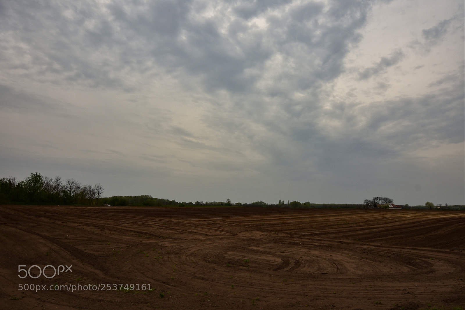Nikon D7200 sample photo. Untitled photography