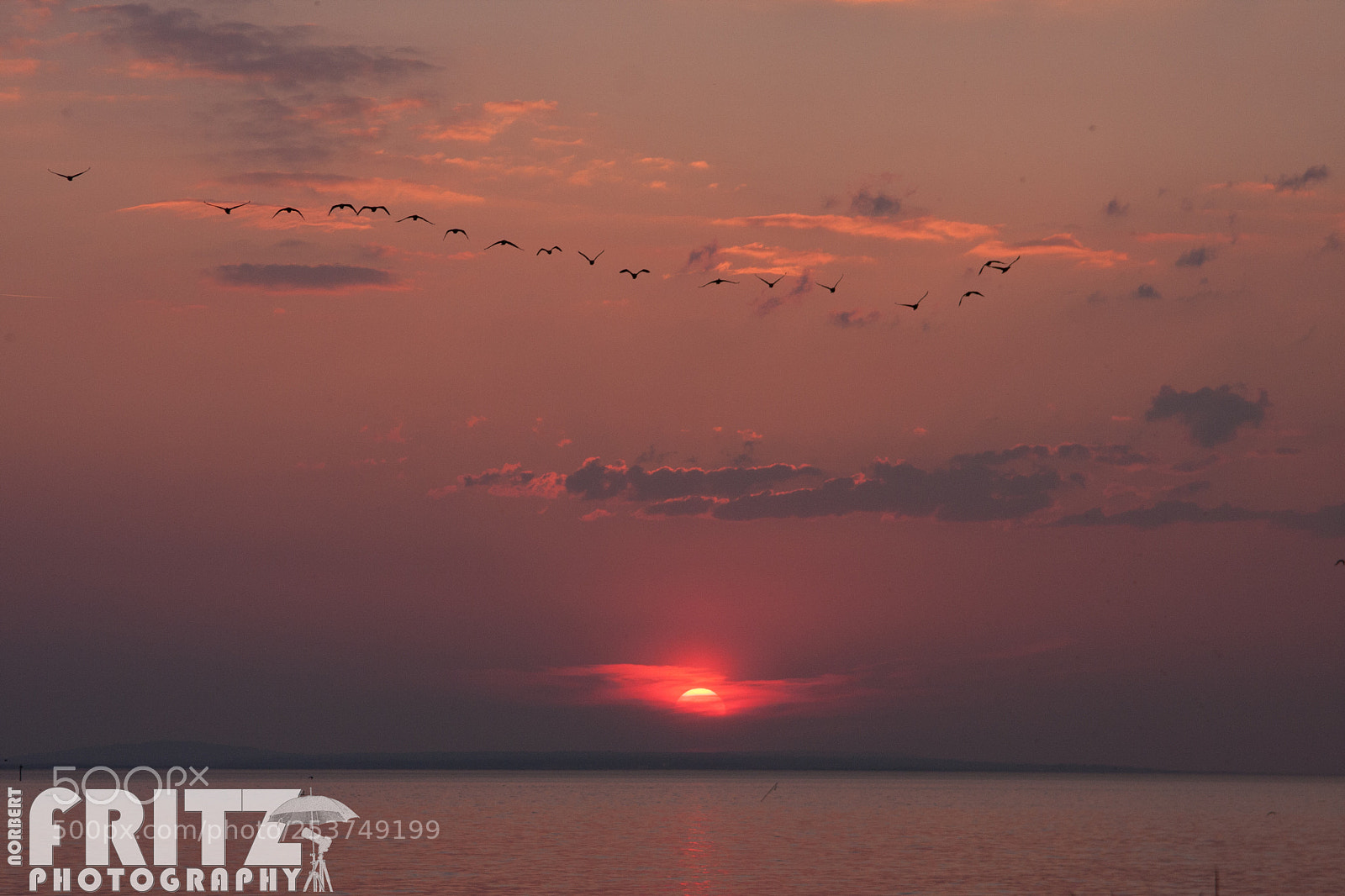 Canon EOS 40D sample photo. Der flug zu den photography