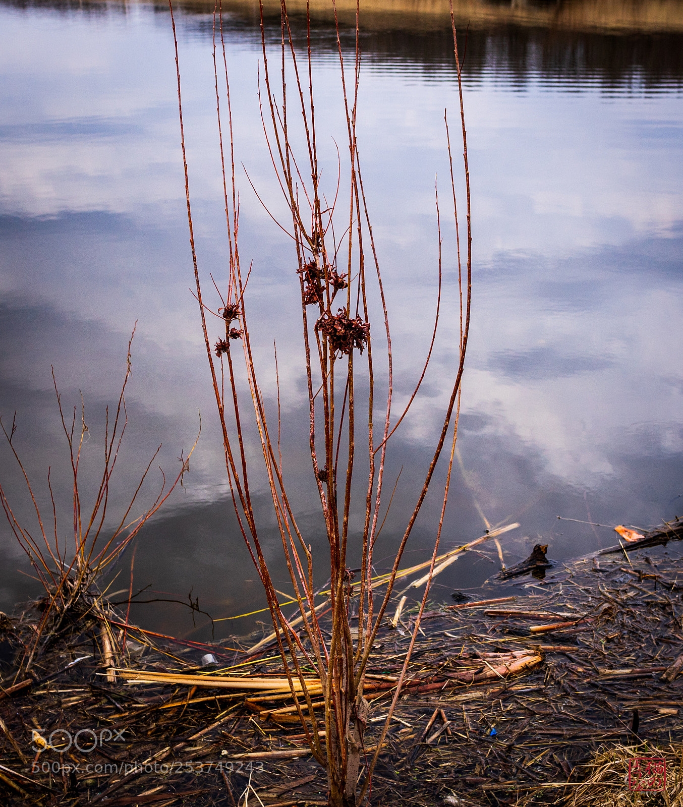 Sony a7 sample photo. Carrying the torch photography