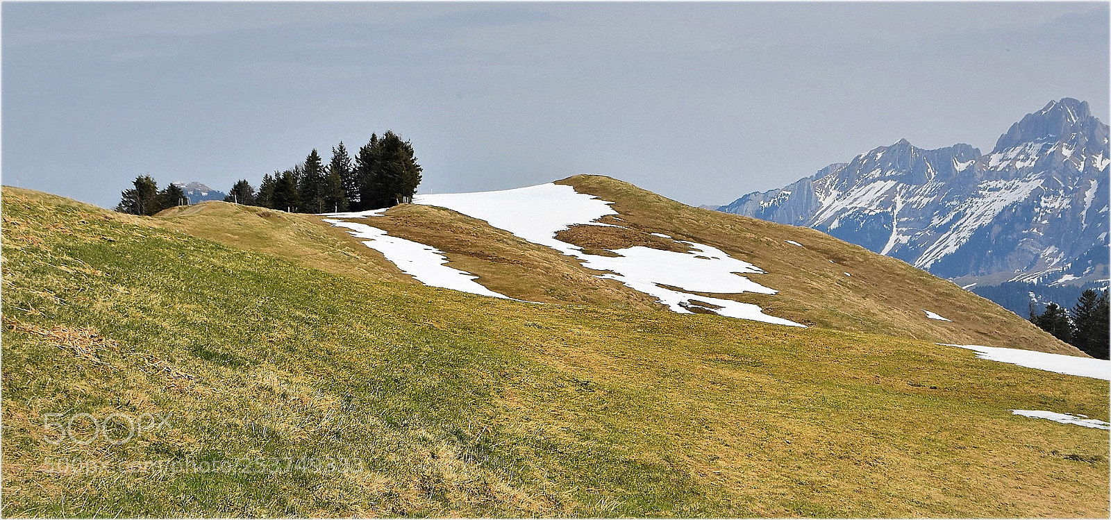 Nikon D7200 sample photo. "late spring" photography