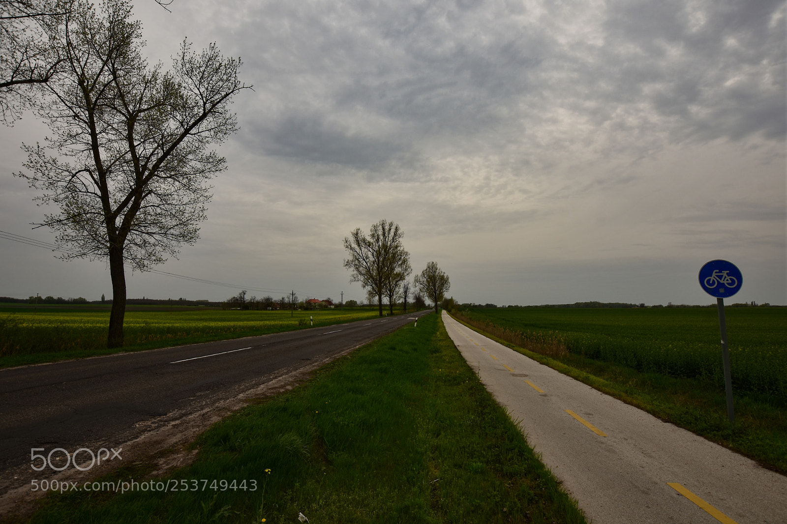 Nikon D7200 sample photo. Untitled photography