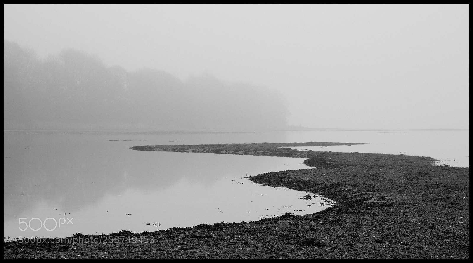 Nikon D7200 sample photo. Untitled photography