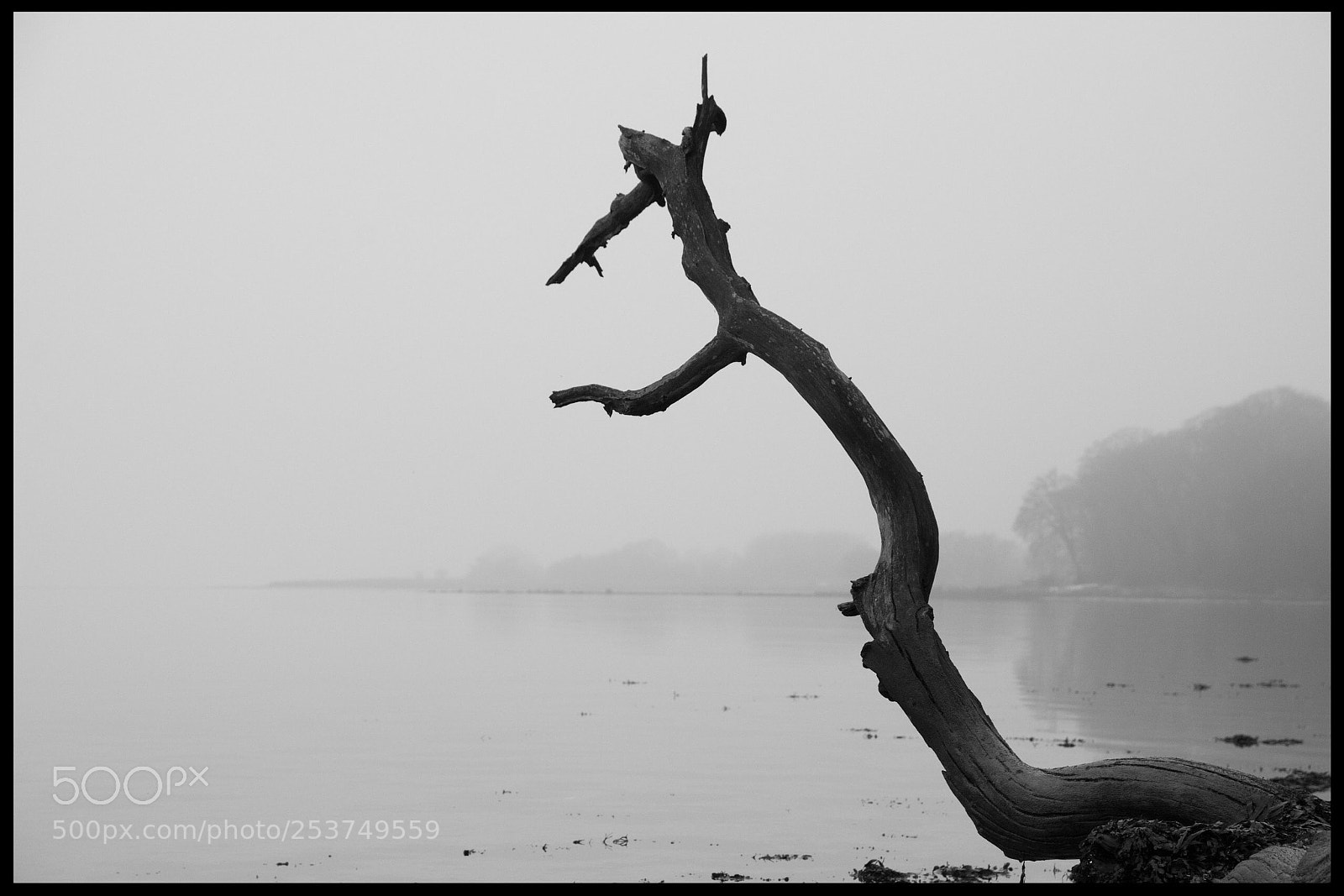 Nikon D7200 sample photo. Untitled photography