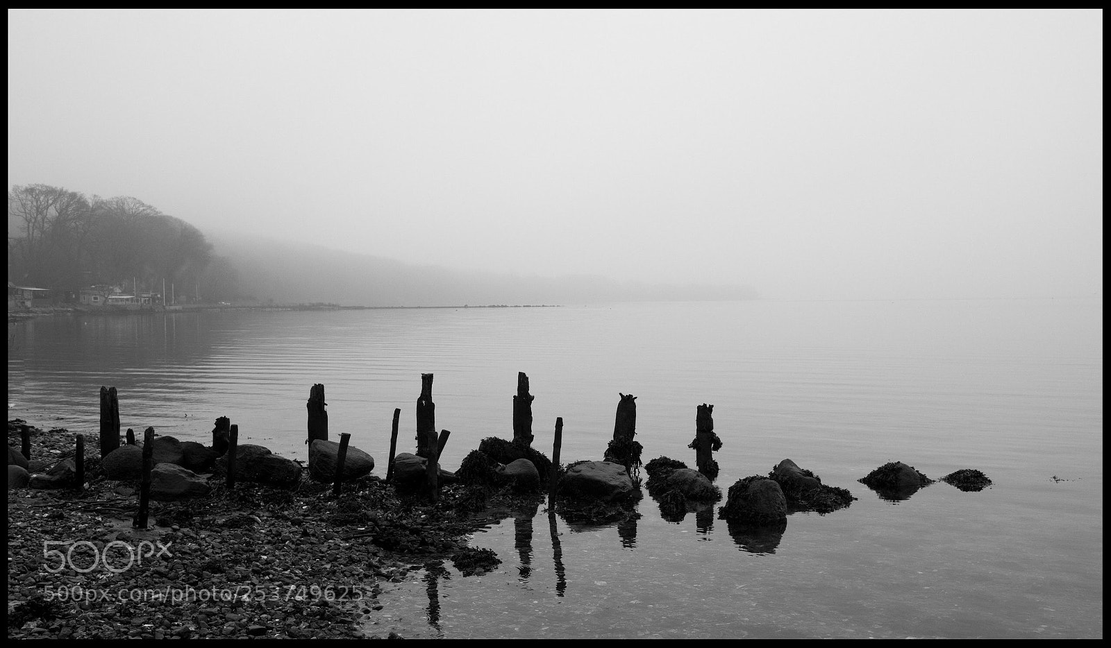 Nikon D7200 sample photo. Untitled photography