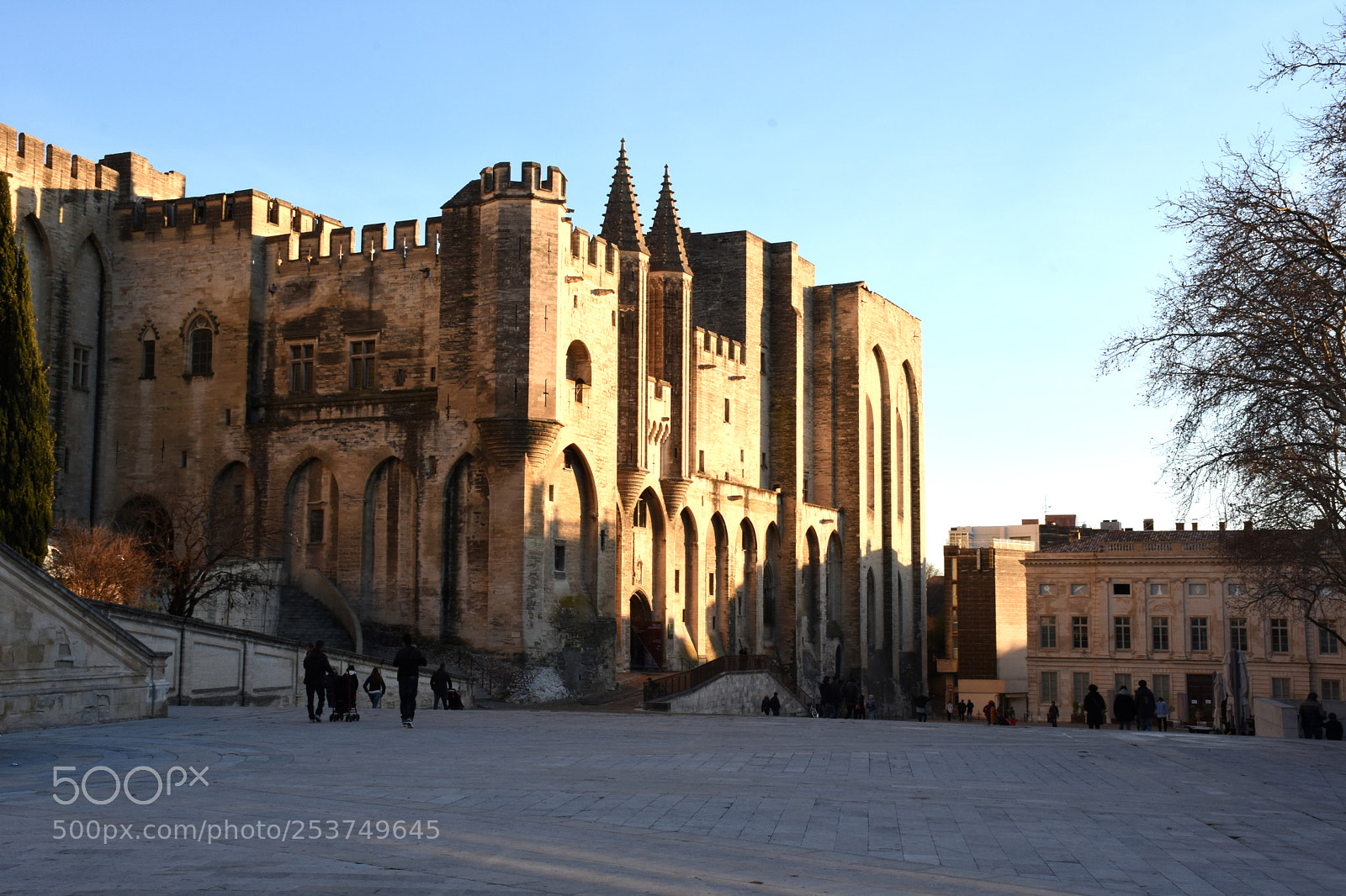 Nikon D7200 sample photo. Avignon popes palace photography