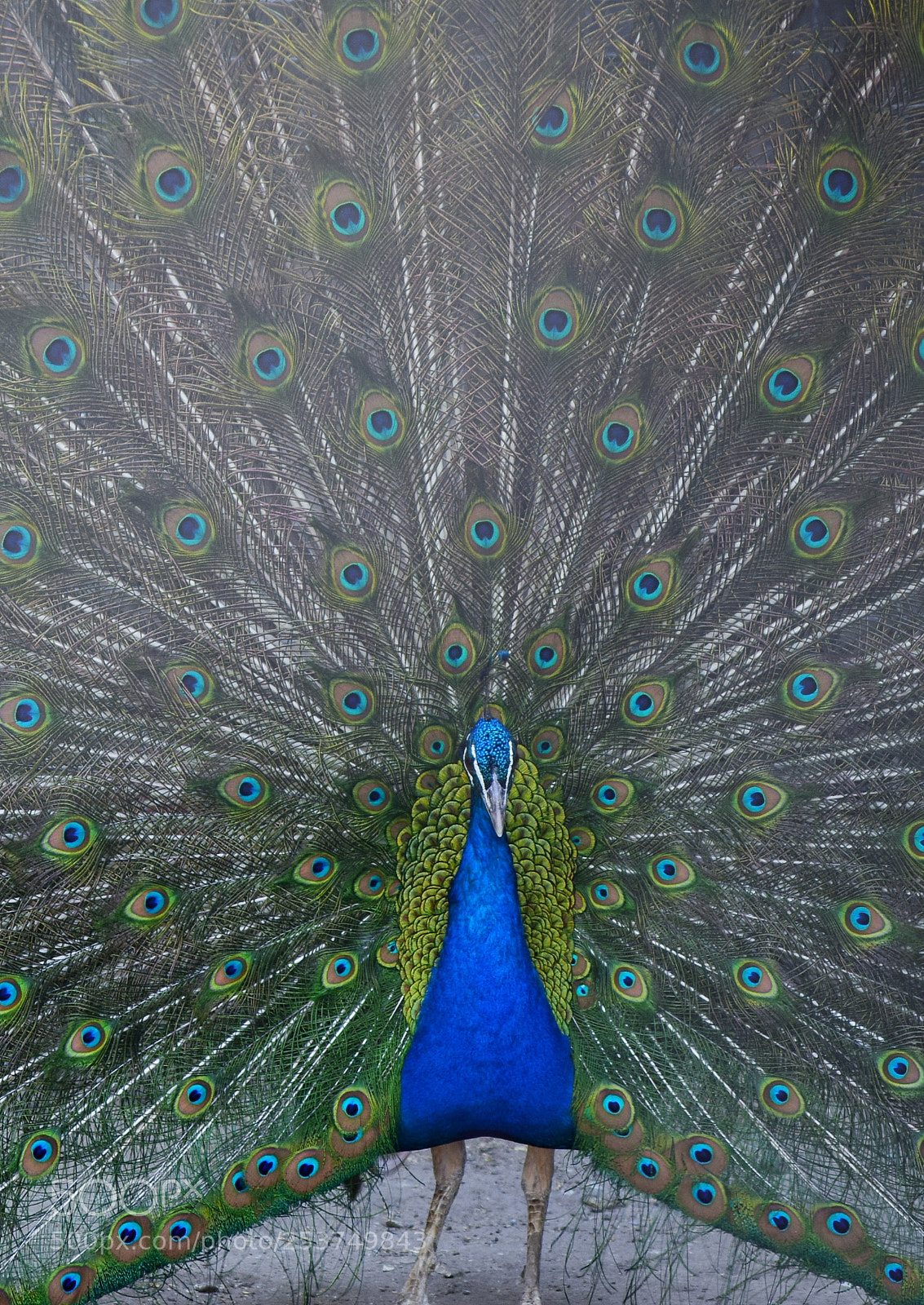 Nikon D5300 sample photo. Untitled photography