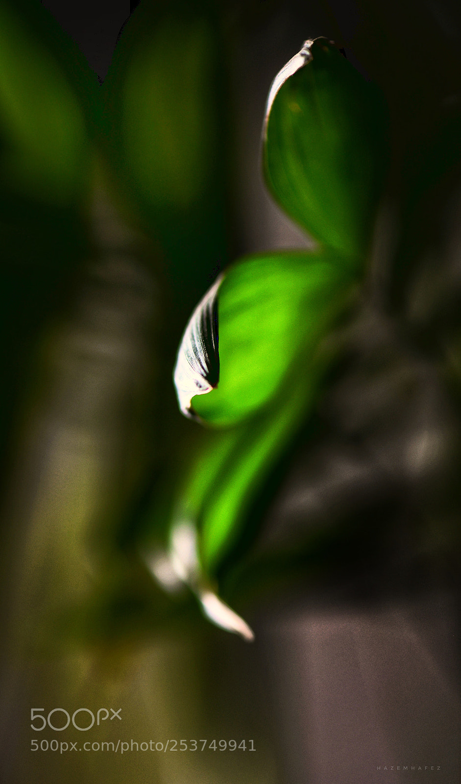 Nikon D610 sample photo. Reaching out photography