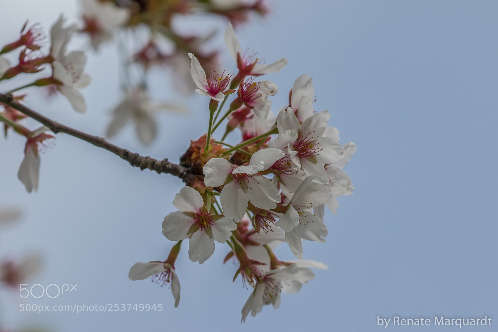 Canon EOS 7D Mark II sample photo. Frühlingszeit... photography