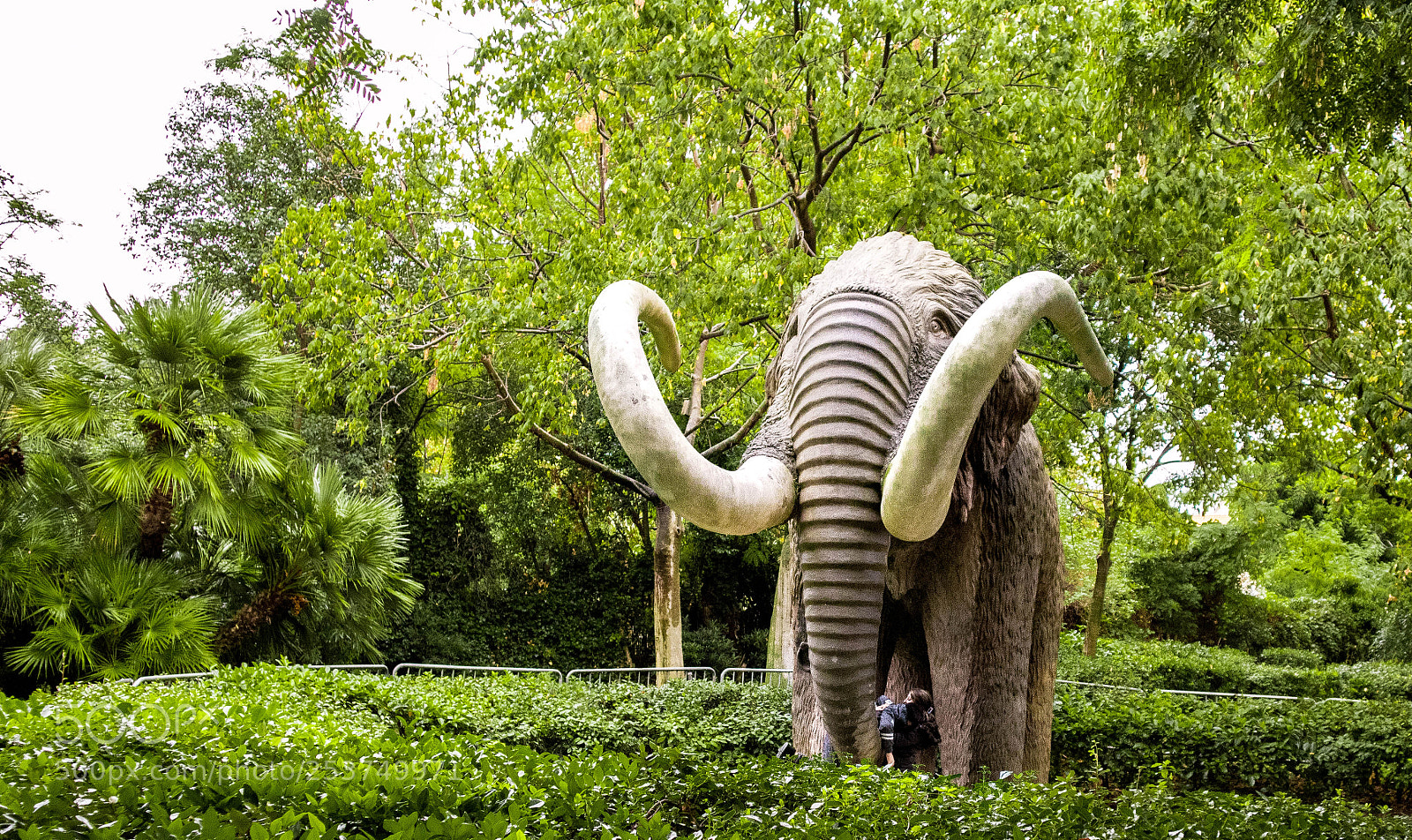 Canon EOS M10 sample photo. “elefante gigante” photography