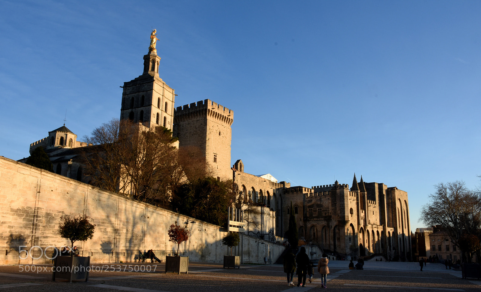 Nikon D7200 sample photo. Palace of papes avignon photography