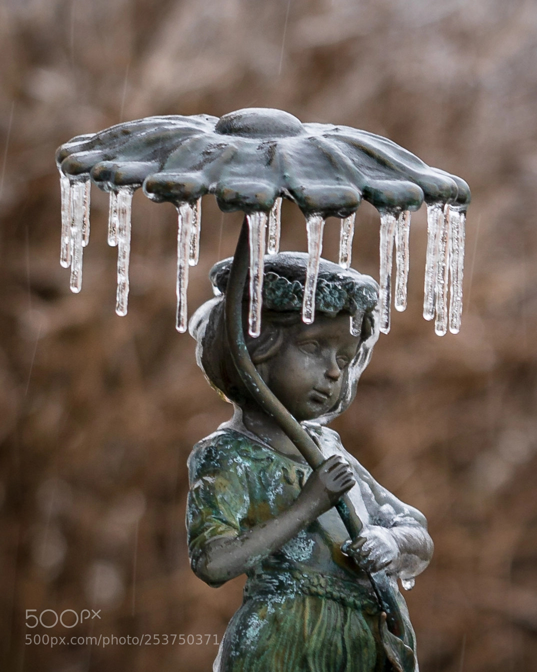 Canon EOS 5D Mark IV sample photo. Ice storm at the photography