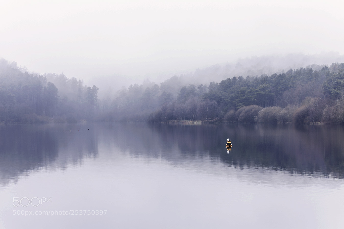 Canon EOS 5D Mark II sample photo. A foggy day (part 2) photography