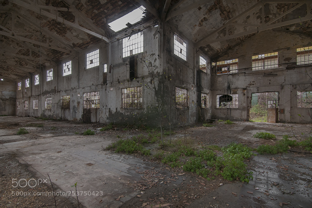 Nikon D300S sample photo. Rivoluzione industriale photography