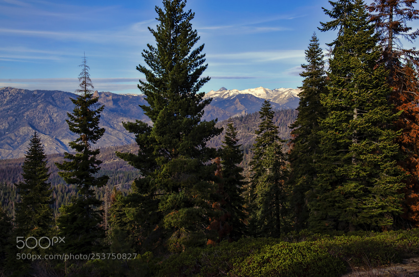 Nikon D7000 sample photo. Wilderness photography