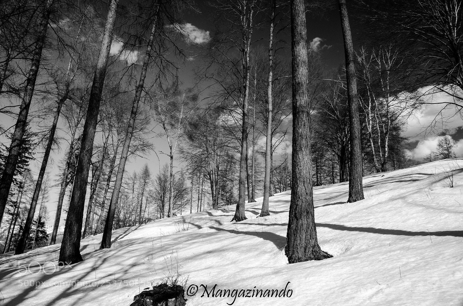 Nikon D5100 sample photo. Untitled photography