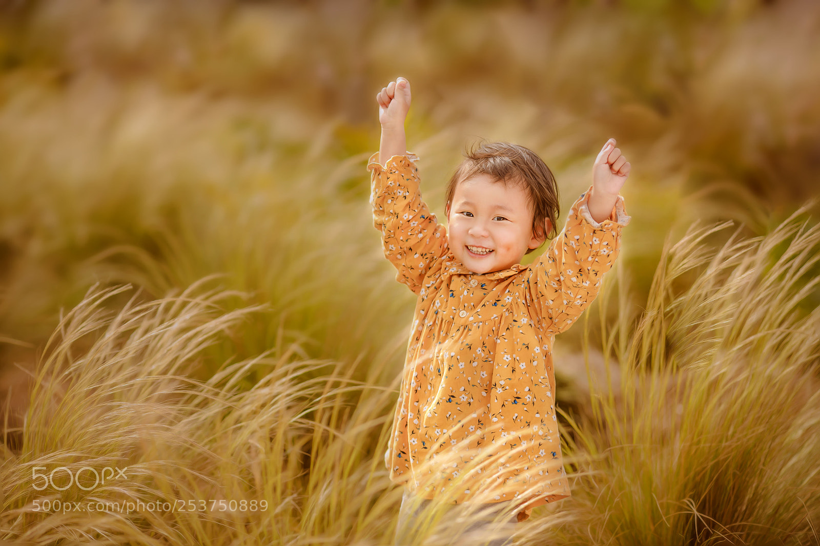Canon EOS 5D Mark IV sample photo. Untitled photography