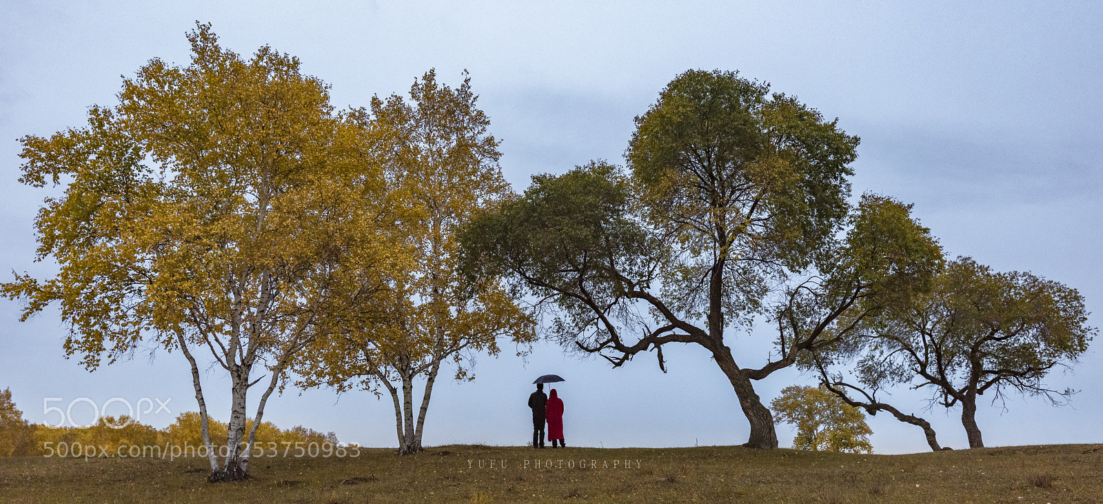 Nikon D810 sample photo. I and you photography