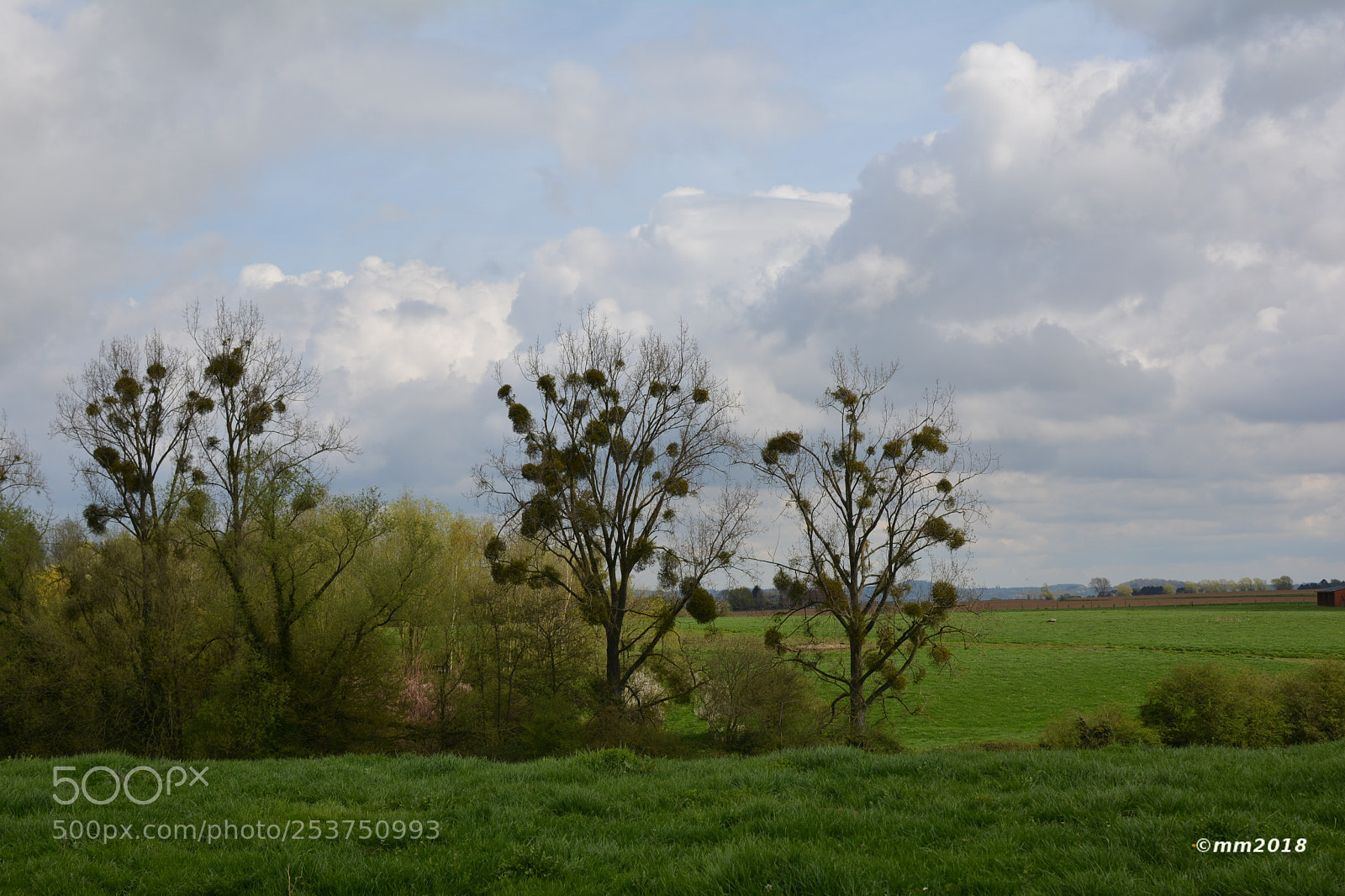 Nikon D5200 + Nikon AF-S DX Nikkor 35mm F1.8G sample photo. Para sites photography