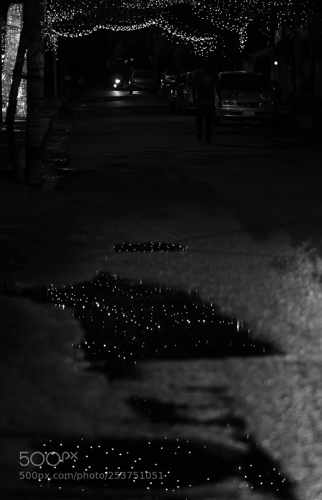 Sony a6500 sample photo. After the rain photography