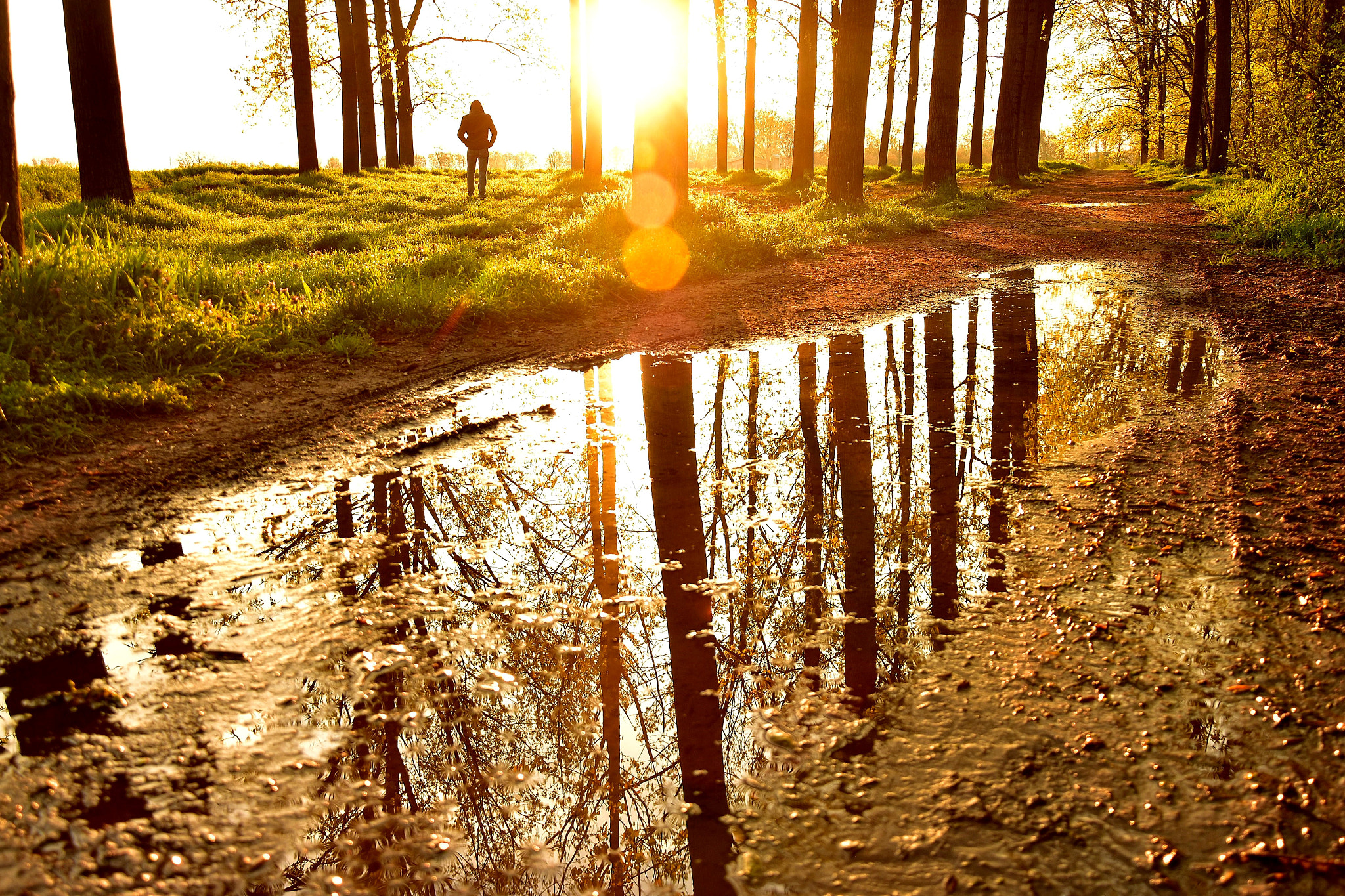 Nikon D5500 sample photo. Reflections in the woods photography