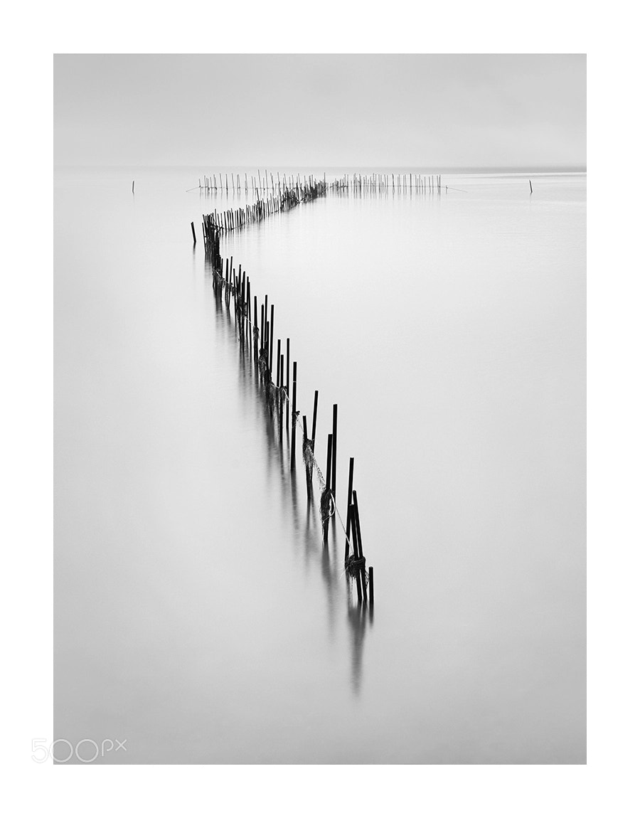Nikon D810 sample photo. Fishing poles 3 photography