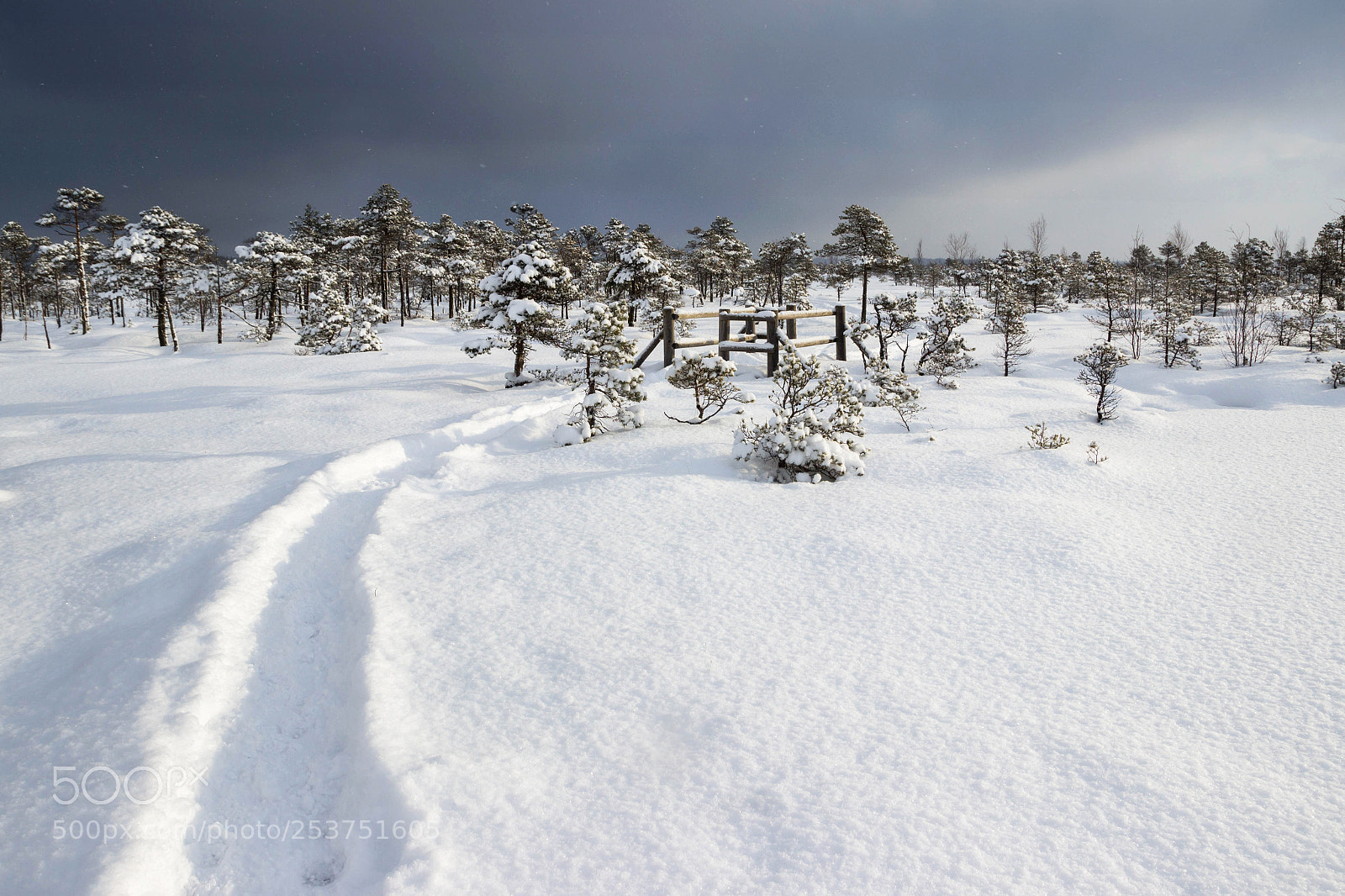 Canon EOS 600D (Rebel EOS T3i / EOS Kiss X5) sample photo. Snow trail photography