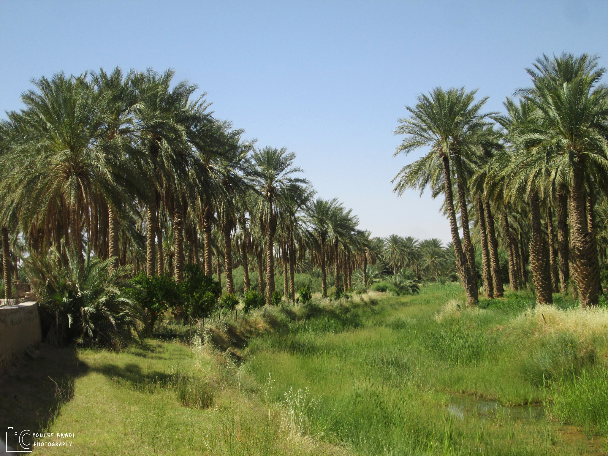 Canon PowerShot A2500 sample photo. The oases of the algerian desert . photography